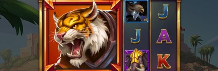 apostar no jogo do foguete