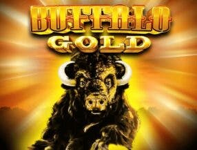bet 7 casino
