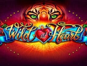 slots casino real money