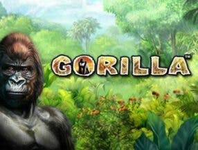 brlwin jogo