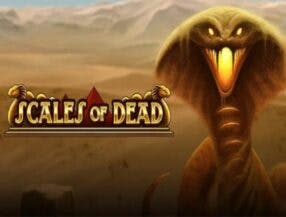 fultibol play